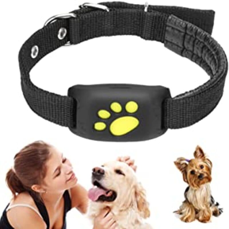 GPS Rastreador para Mascotas