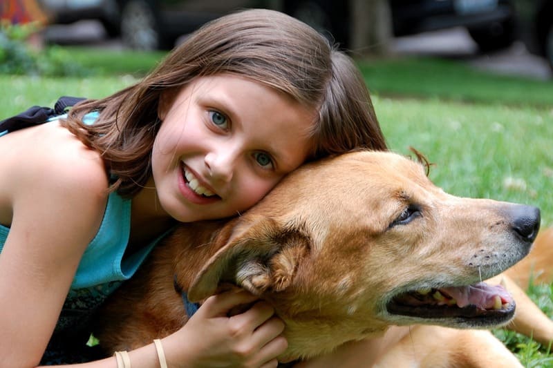 Por qué tener un perro como mascota